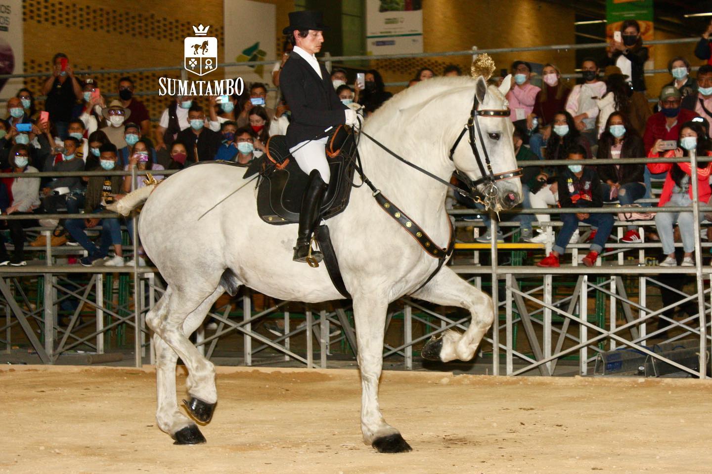 Criadero Sumatambo - Pecheron Stud Farm